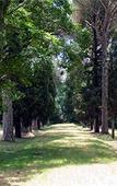 Туры в отель Hotel Villa il Patriarca