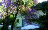 Туры в отель Chateau de Challanges