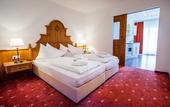 Туры в отель Hotel Seppl