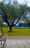 Туры в отель Hotel Ulivi