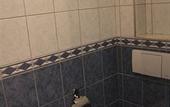 Туры в отель Hotel Grand Canal