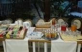 Туры в отель Park Hotel Elefante