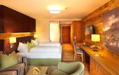 Туры в отель Hotel Kaprunerhof