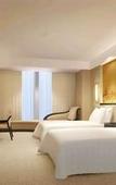 Туры в отель Vienna International Hotel (Yangzhou Wanda Plaza Libao)