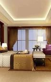 Туры в отель Vienna International Hotel (Yangzhou Wanda Plaza Libao)