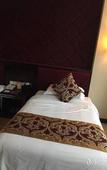 Туры в отель Vienna International Hotel (Yangzhou Wanda Plaza Libao)