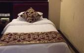 Туры в отель Vienna International Hotel (Yangzhou Wanda Plaza Libao)