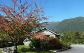 Туры в отель Rainforest Motel