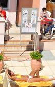 Туры в отель Hotel Alsazia