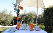 Туры в отель Hotel Ristorante Piccolo Chianti