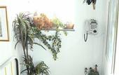 Туры в отель Hostel Heinzelmannchen