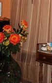 Туры в отель Guest House Bella Onda