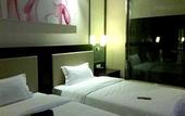 Туры в отель Lake-view Hotel