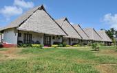 Туры в отель Karafuu Beach Resort & Spa