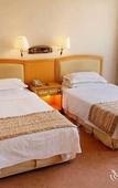 Туры в отель Jinling Star Hotel