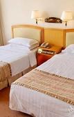 Туры в отель Jinling Star Hotel