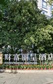 Туры в отель Rezen Hotel Fortune Jiaxing