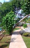 Туры в отель Manta Cottages with Sea View