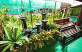 Туры в отель House Of My Eternal Love - Kulai Homestay