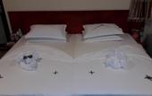 Туры в отель Annama Lodge And Dive