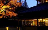 Туры в отель Hakone Suishoen