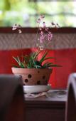 Туры в отель Baan Tye Wang Hotel