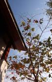 Туры в отель Baan Tye Wang Hotel