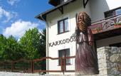 Туры в отель Karkonoski