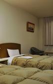 Туры в отель Hotel Iidaya