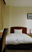 Туры в отель Hotel Iidaya