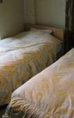 Туры в отель Plaza Inn Kawaguchiko
