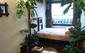 Туры в отель Lohas Villa - Hostel