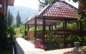 Туры в отель Toba Village Inn