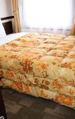 Туры в отель Toyoko Inn Nishi-kawaguchi-eki