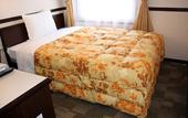 Туры в отель Toyoko Inn Nishi-kawaguchi-eki