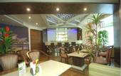 Туры в отель Hotel Green Olive