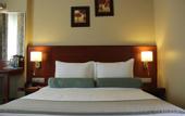 Туры в отель Hotel Green Olive