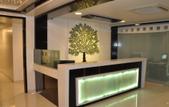 Туры в отель Hotel Green Olive