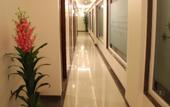 Туры в отель Hotel Green Olive