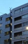 Туры в отель Randor Residence Tokyo Grand