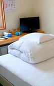 Туры в отель Hotel Nishi In Fujisan