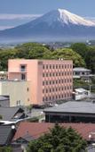 Туры в отель Hotel Nishi In Fujisan