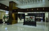 Туры в отель Grace Hotel