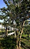 Туры в отель Jinling Yuntai Hotel
