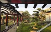 Туры в отель Zhongshan International Hotel