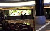 Туры в отель Jiangyan Hotel