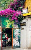 Туры в отель Cloudland International Youth Hostel