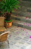 Туры в отель Cloudland International Youth Hostel