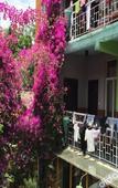 Туры в отель Cloudland International Youth Hostel