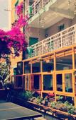 Туры в отель Cloudland International Youth Hostel